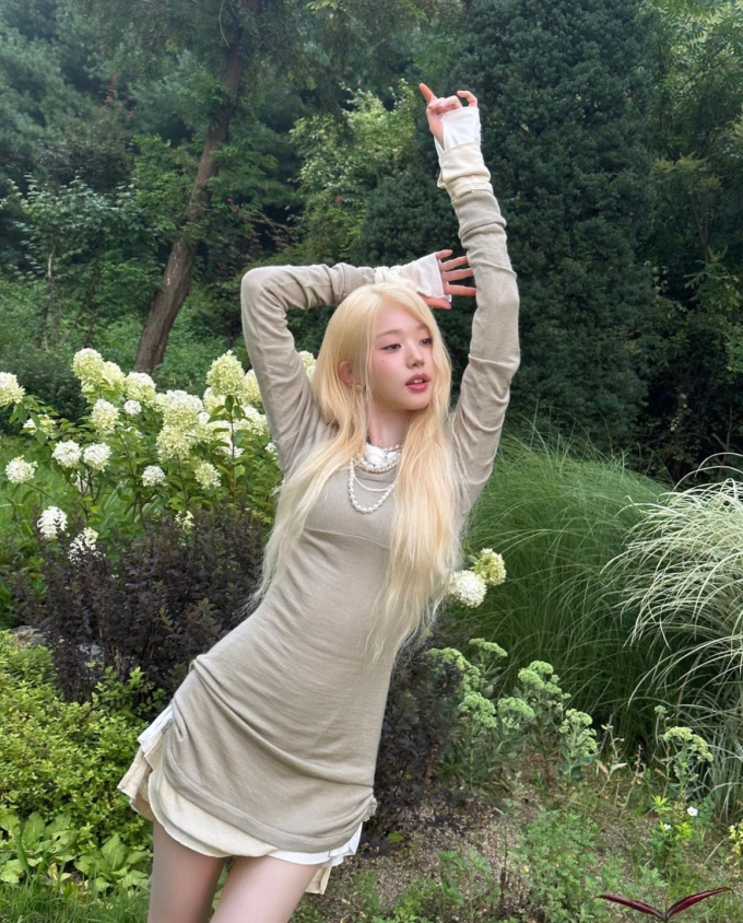 기사 이미지
