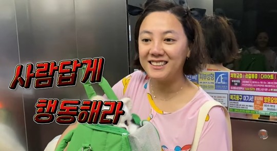 기사 이미지