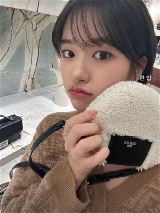기사 이미지