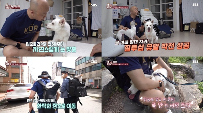 기사 이미지