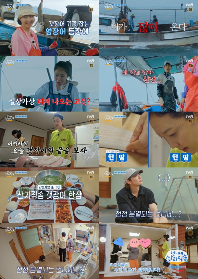 기사 이미지