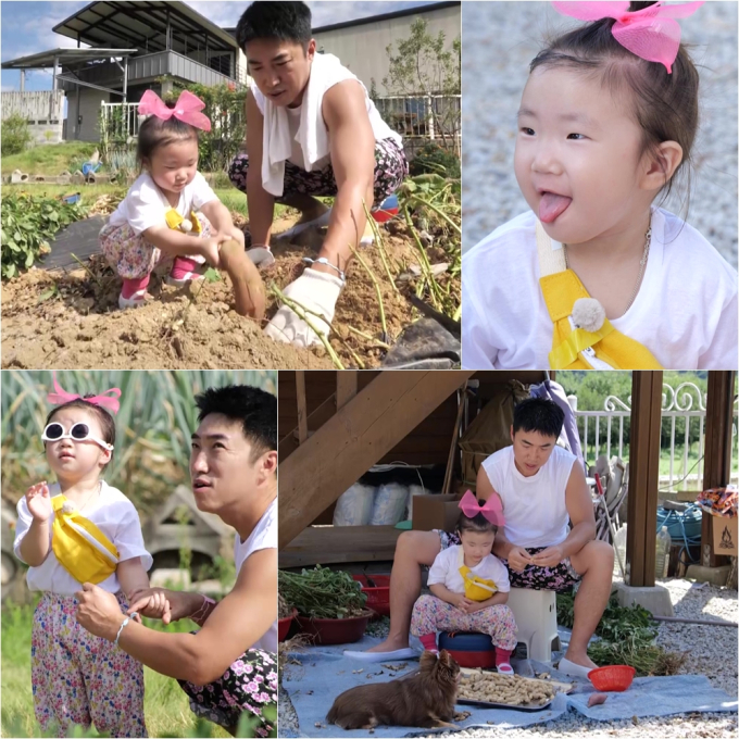 기사 이미지