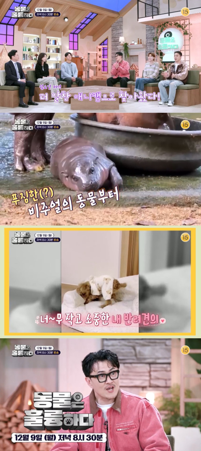 기사 이미지