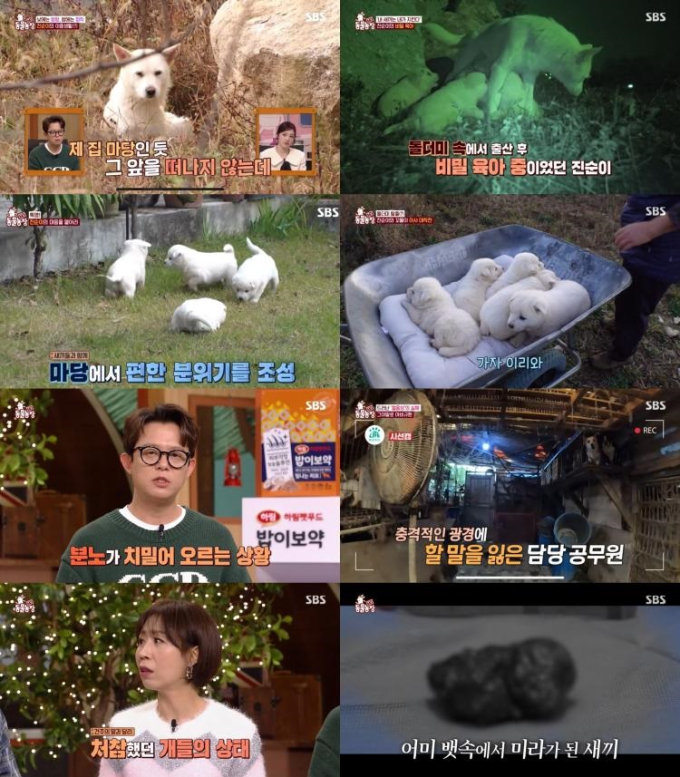 기사 이미지