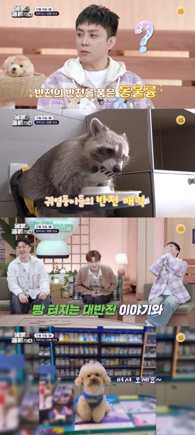 기사 이미지
