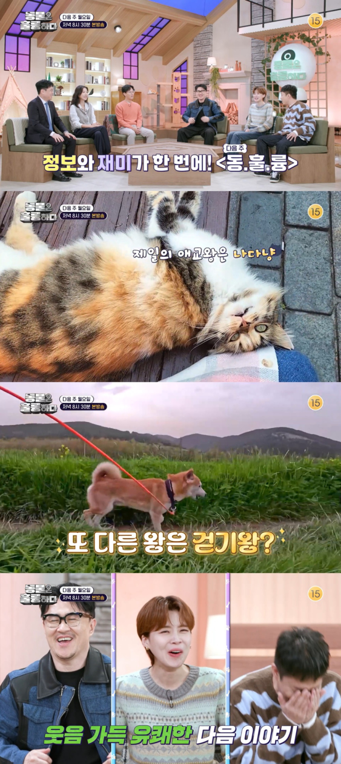 기사 이미지
