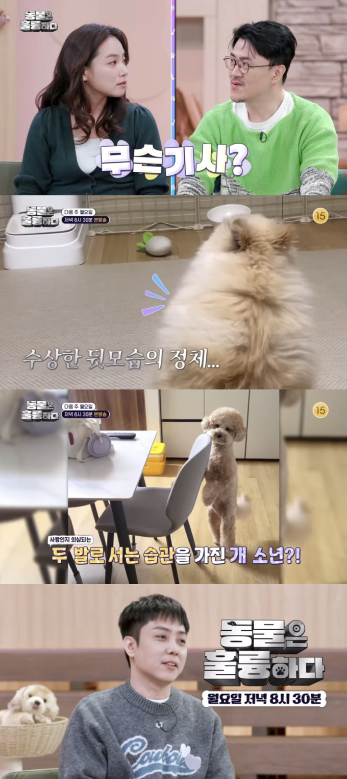 기사 이미지