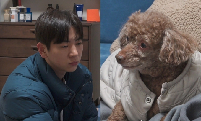 기사 이미지