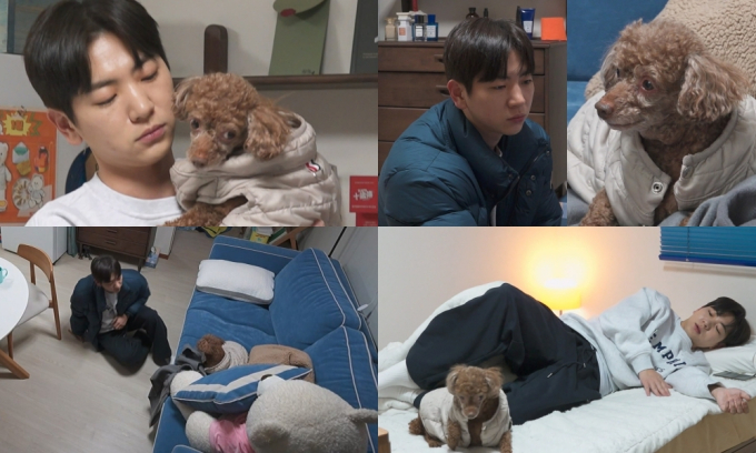 기사 이미지