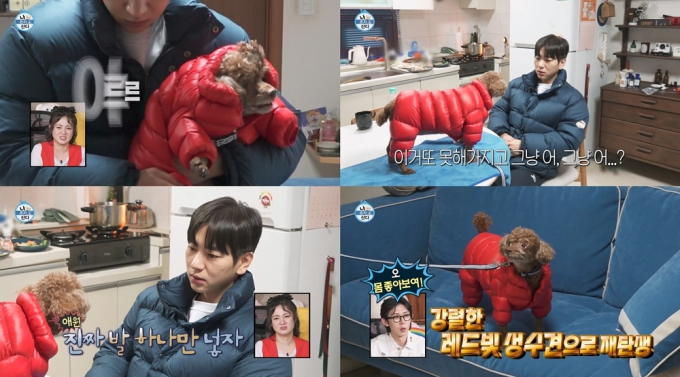 기사 이미지