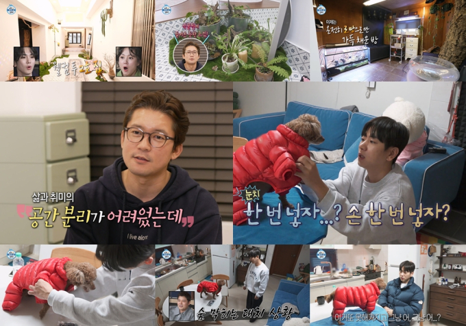 기사 이미지