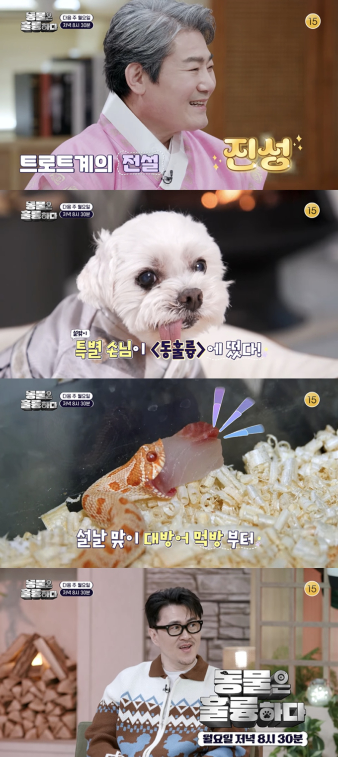 기사 이미지