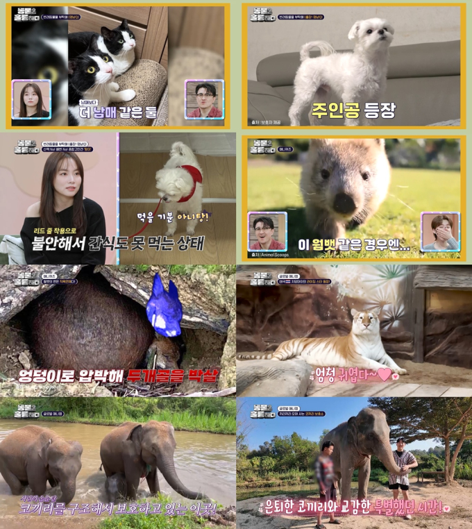 기사 이미지