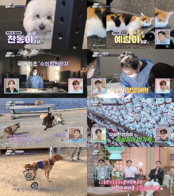기사 이미지