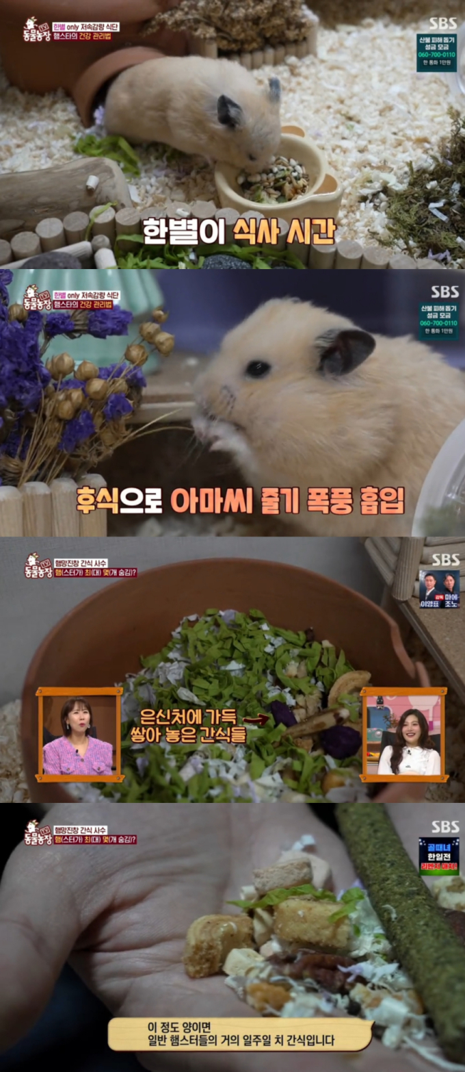기사 이미지