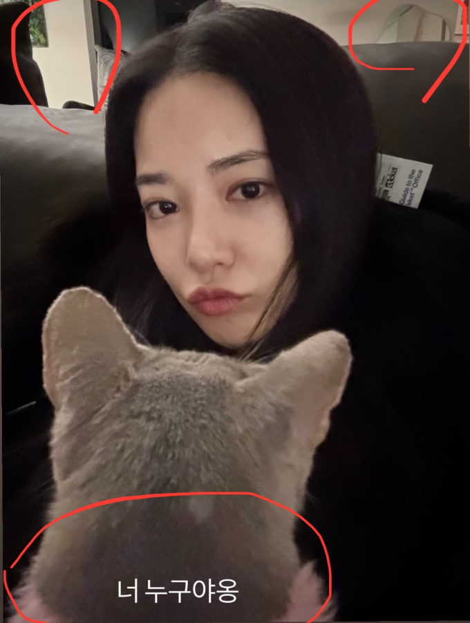 기사 이미지