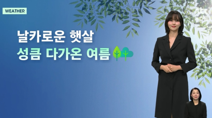 기사 이미지