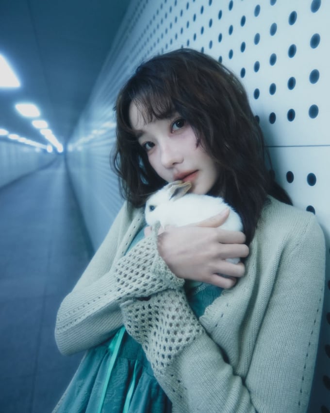 기사 이미지