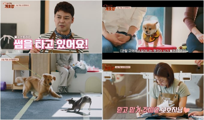 기사 이미지