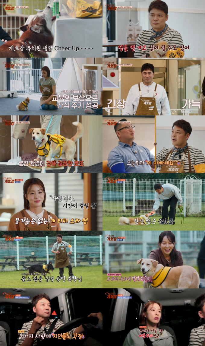 기사 이미지