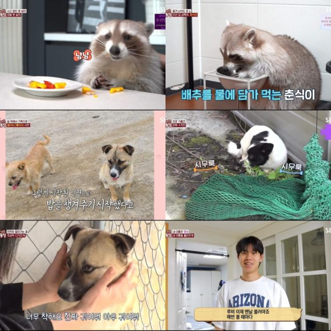 기사 이미지