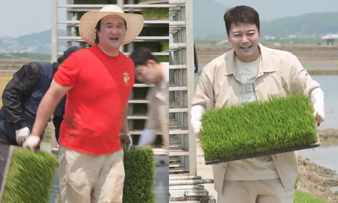 기사 이미지