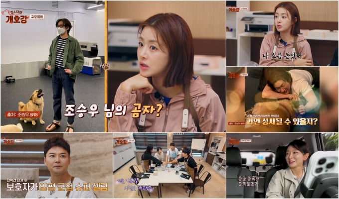 기사 이미지