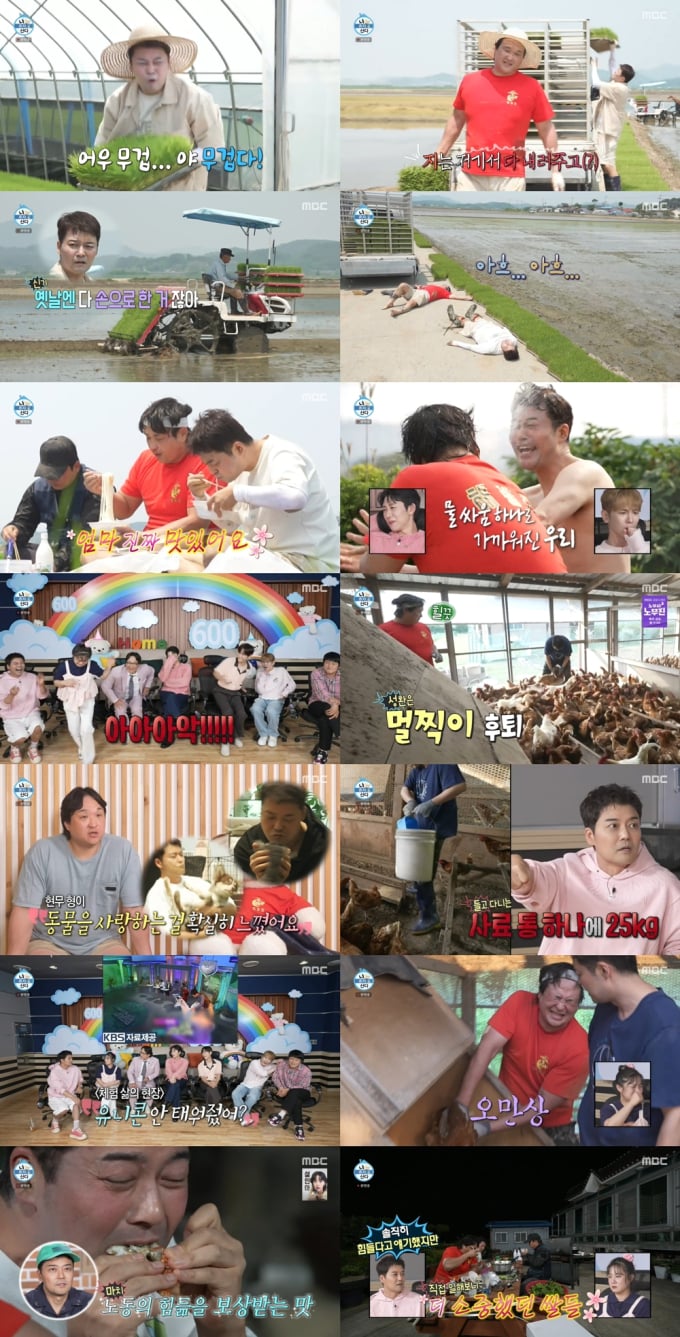 기사 이미지