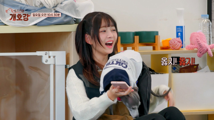 기사 이미지