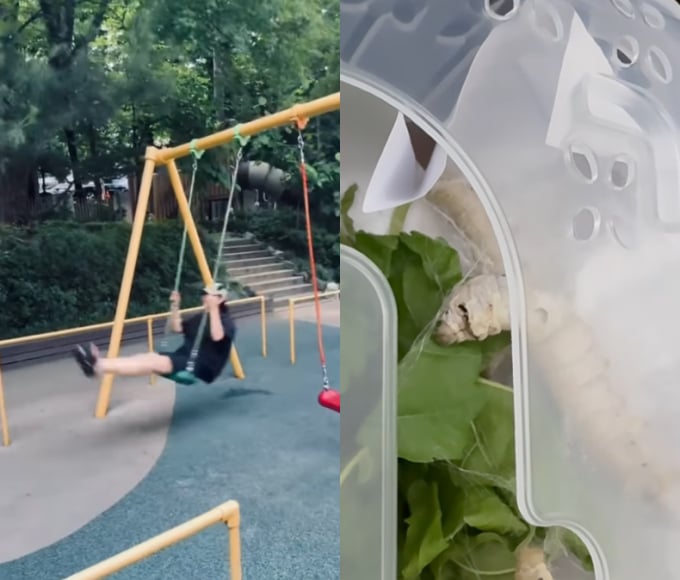 기사 이미지