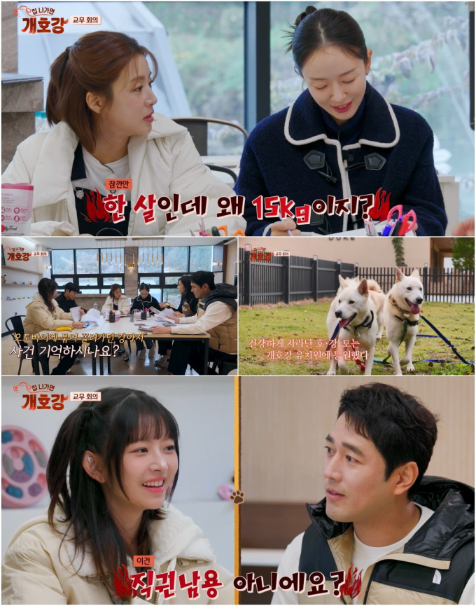 기사 이미지