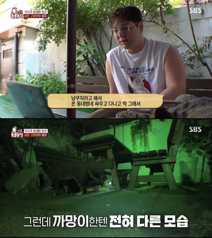 기사 이미지