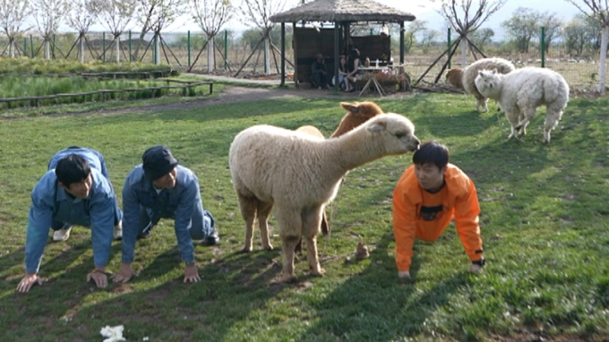 기사 이미지