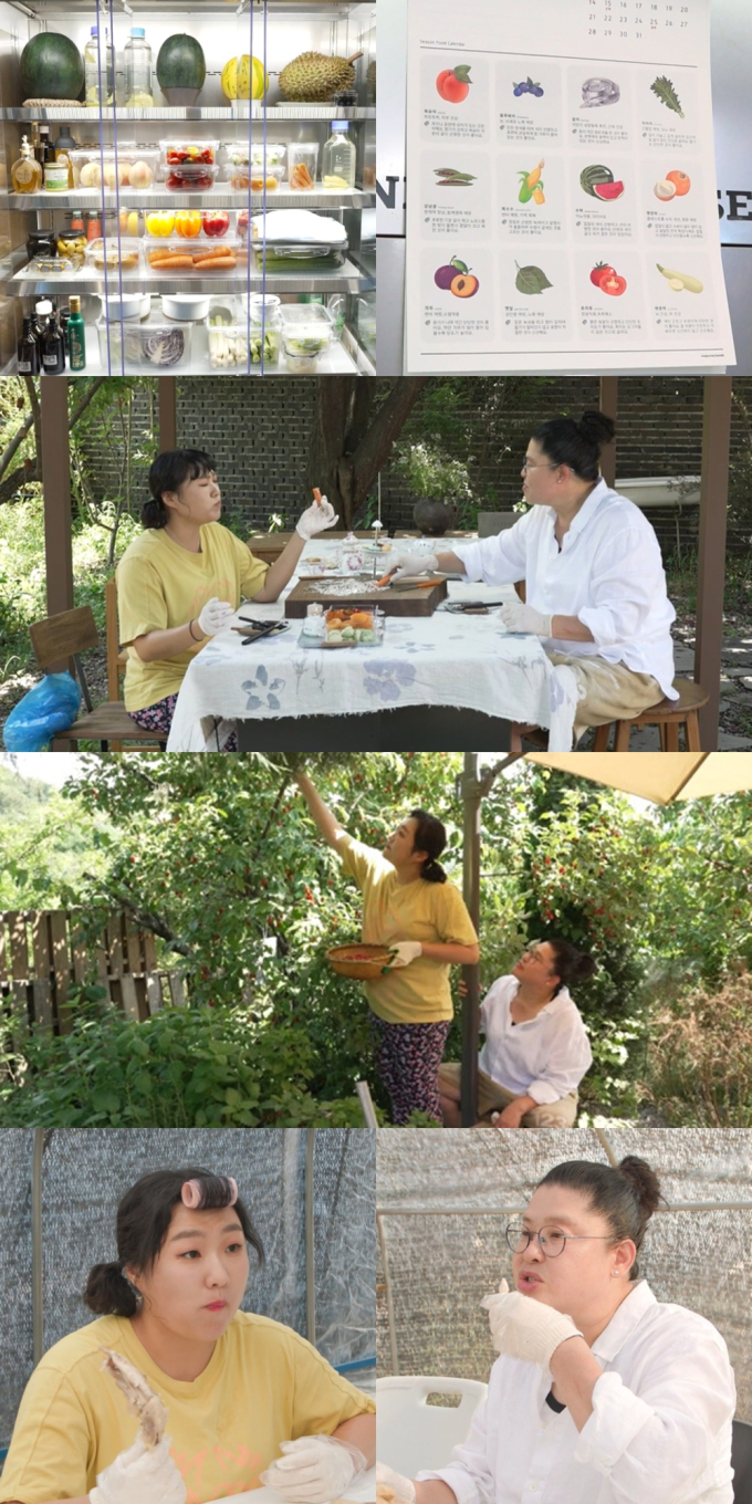 기사 이미지