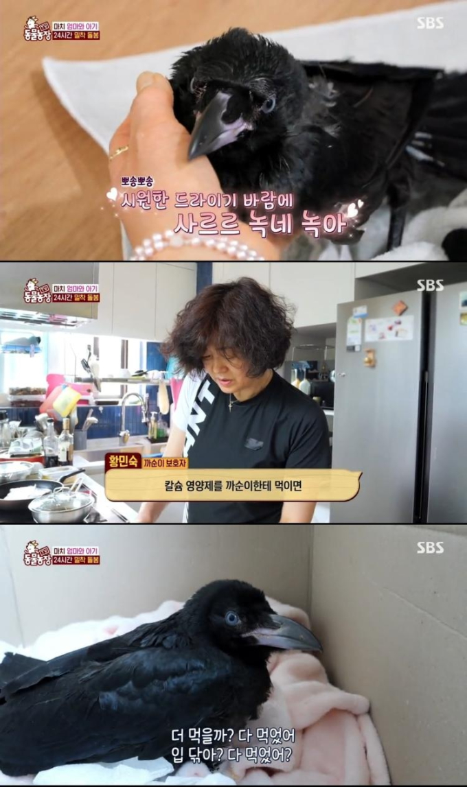 기사 이미지