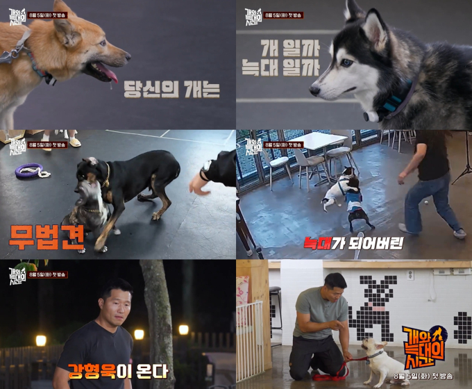 기사 이미지