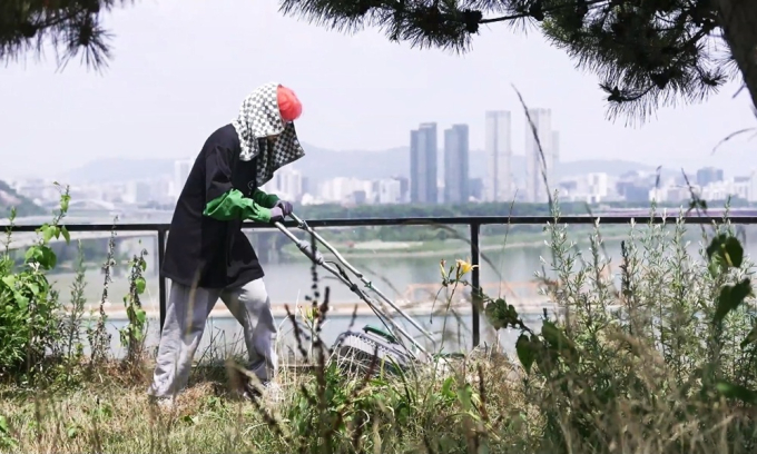 기사 이미지