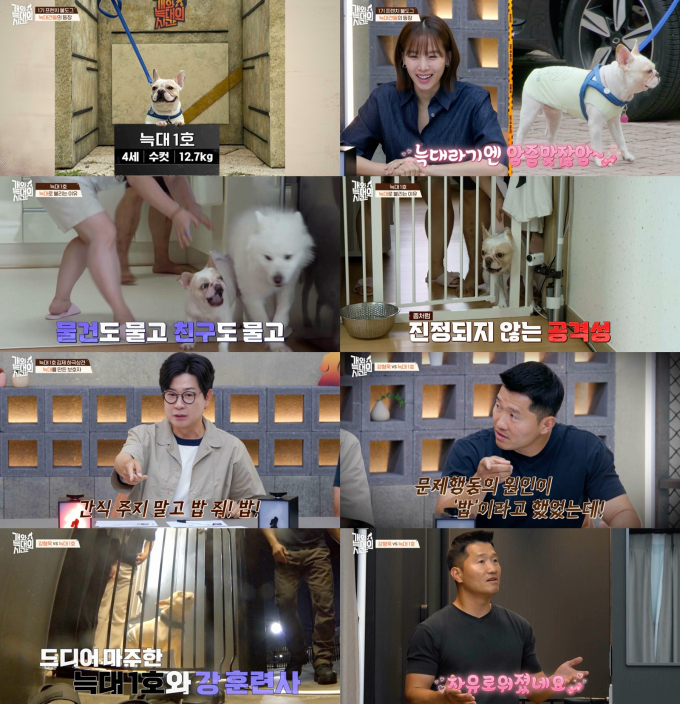 기사 이미지