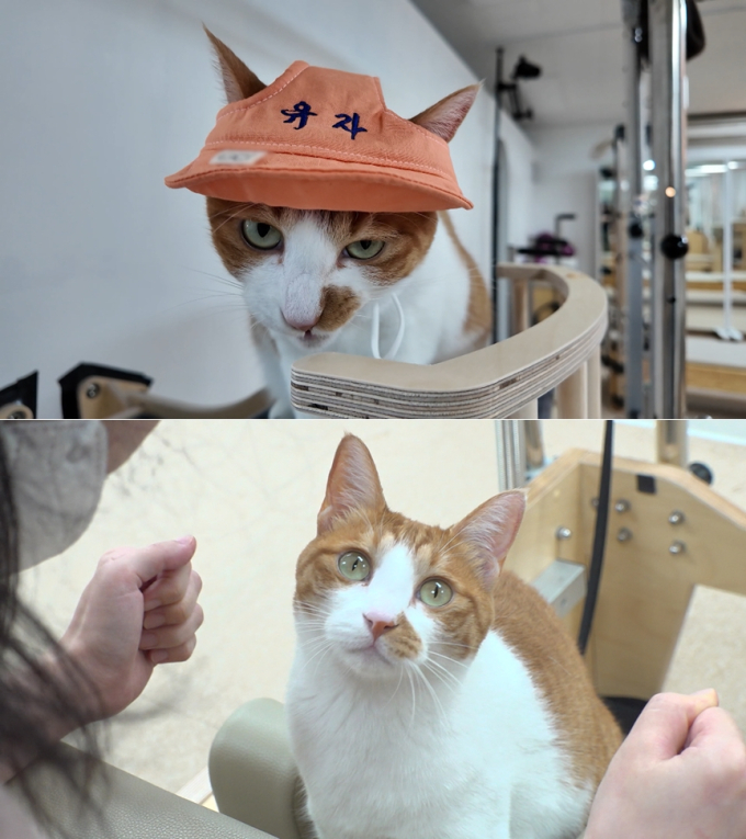 기사 이미지