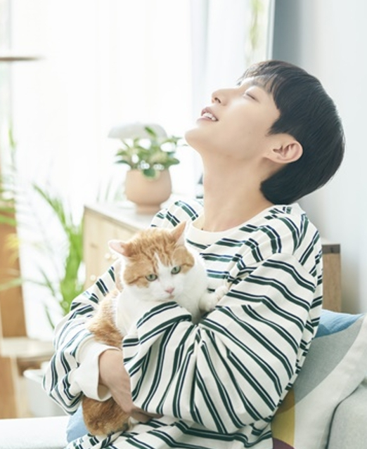 기사 이미지