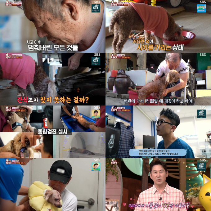 기사 이미지