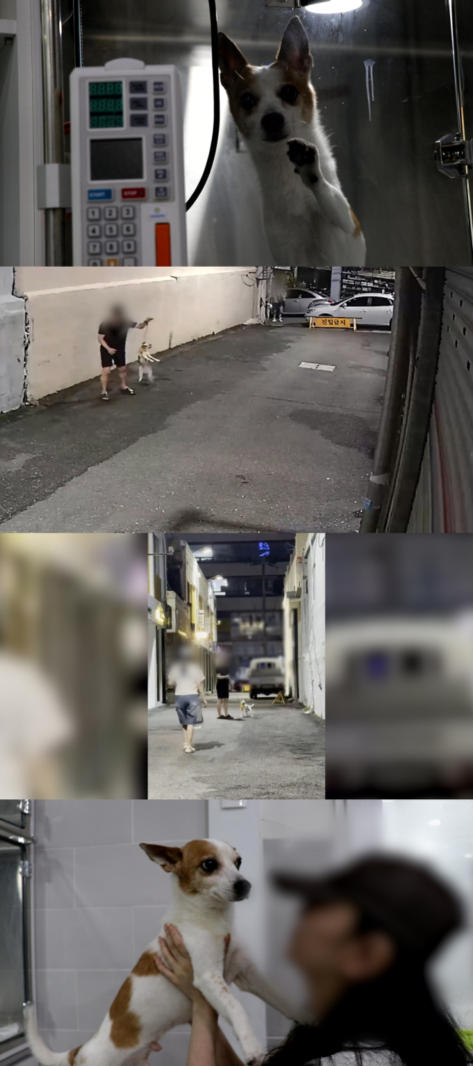 기사 이미지