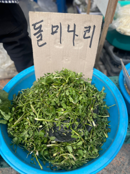 봄철 피로, 돌미나리 한 줌이면 충분하다 [제철따라]