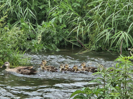 ‘대체로 맑은 주말‘ 한낮 30도 육박 ...자외선 ·오존 주의[오늘날씨]