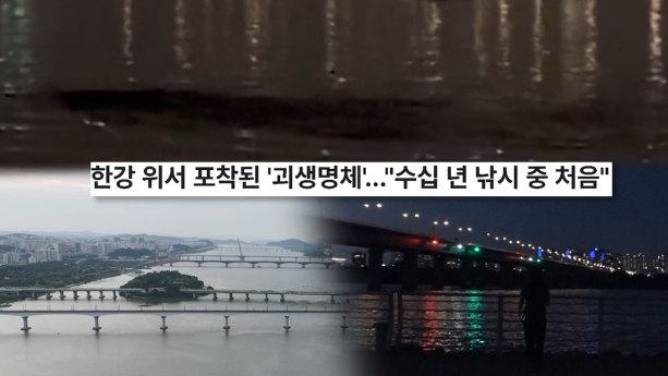 ‘궁금한이야기Y’ 한강에 괴물 출현