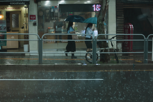 남부 최대 80mm 이상 폭우… 한낮 33도 무더위 [내일날씨]
