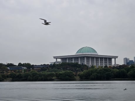 수도권·강원 곳곳 비…낮 최고 34도 ‘무더위’[내일날씨]
