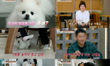 ‘개와늑대의시간2’ 인천 좀비견 솔루션