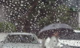 경남·경북·강원 雨… 전국 강풍 주의 