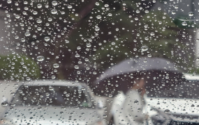 경남·경북·강원 雨… 전국 강풍 주의 